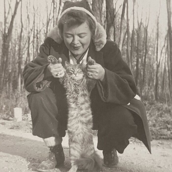 Vintage Cat Pics That Prove Cats Have Always Owned Us