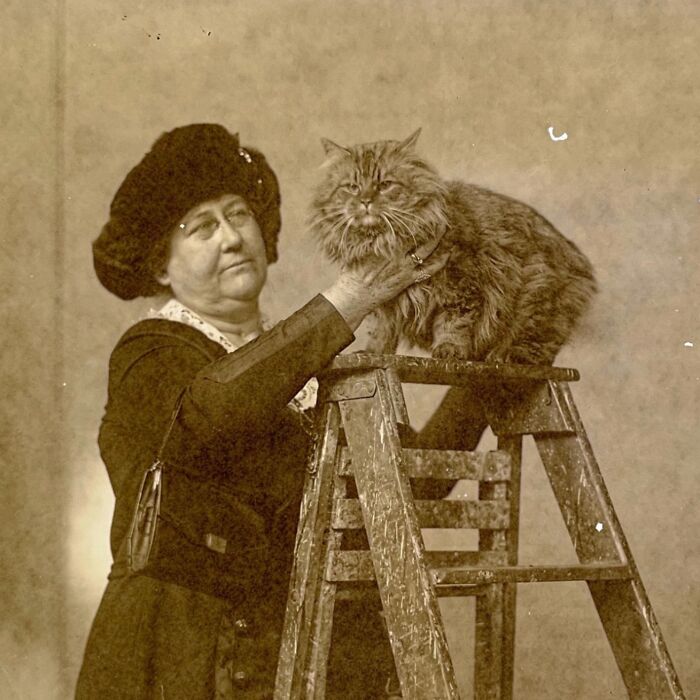 Vintage Cat Pics That Prove Cats Have Always Owned Us
