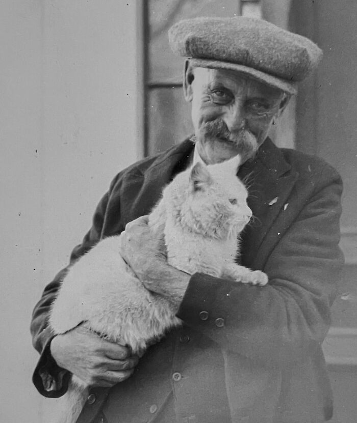Vintage Cat Pics That Prove Cats Have Always Owned Us