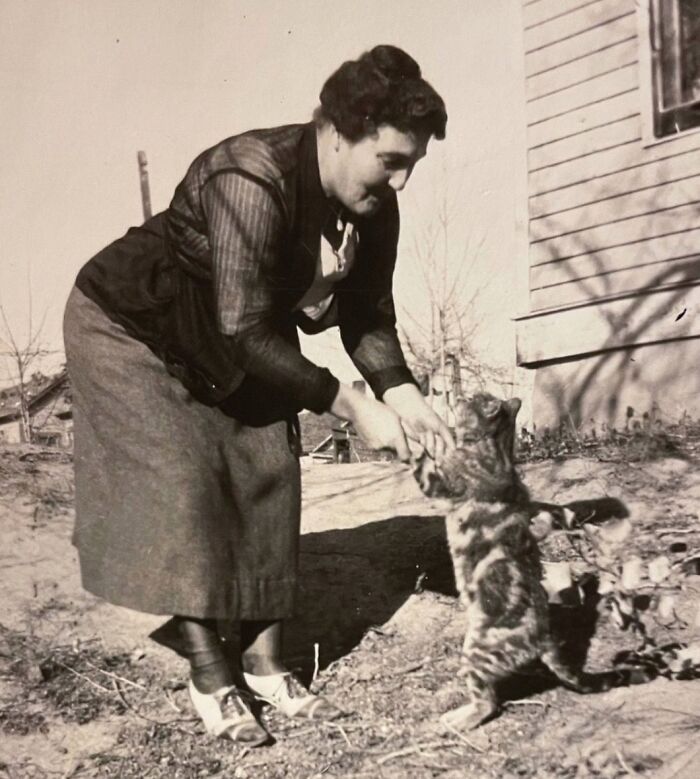 Vintage Cat Pics That Prove Cats Have Always Owned Us