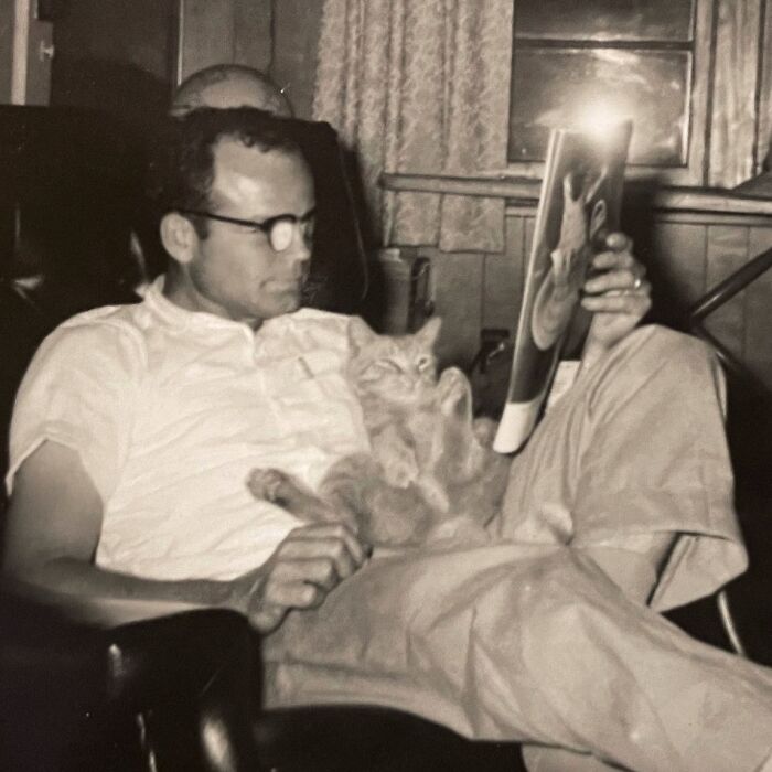 Vintage Cat Pics That Prove Cats Have Always Owned Us