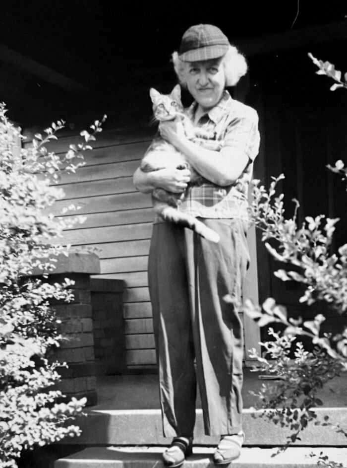 Vintage Cat Pics That Prove Cats Have Always Owned Us