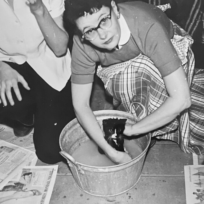 Vintage Cat Pics That Prove Cats Have Always Owned Us