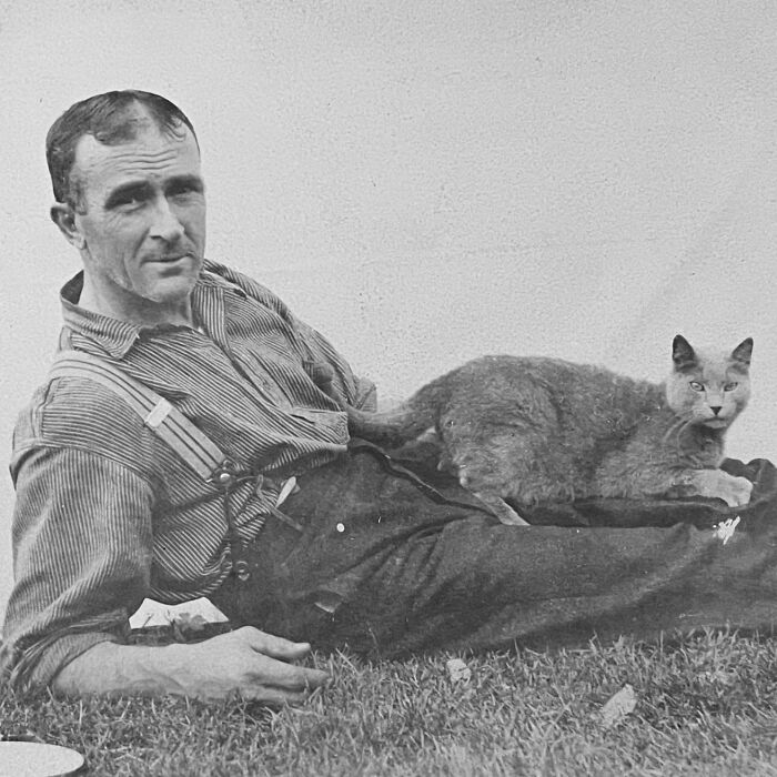 Vintage Cat Pics That Prove Cats Have Always Owned Us