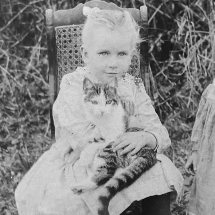 Vintage Cat Pics That Prove Cats Have Always Owned Us