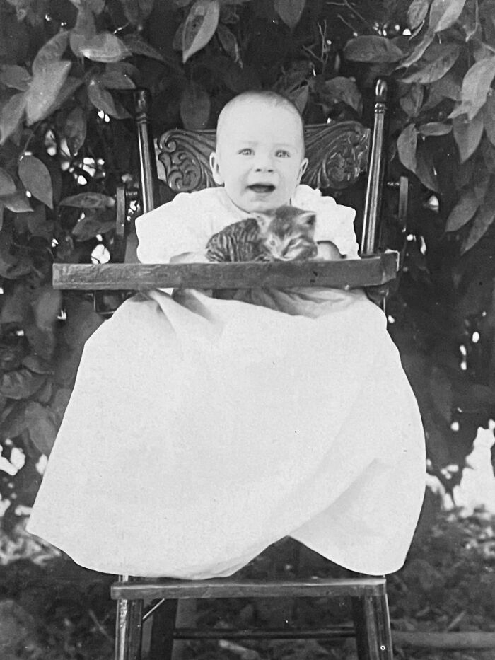Vintage Cat Pics That Prove Cats Have Always Owned Us