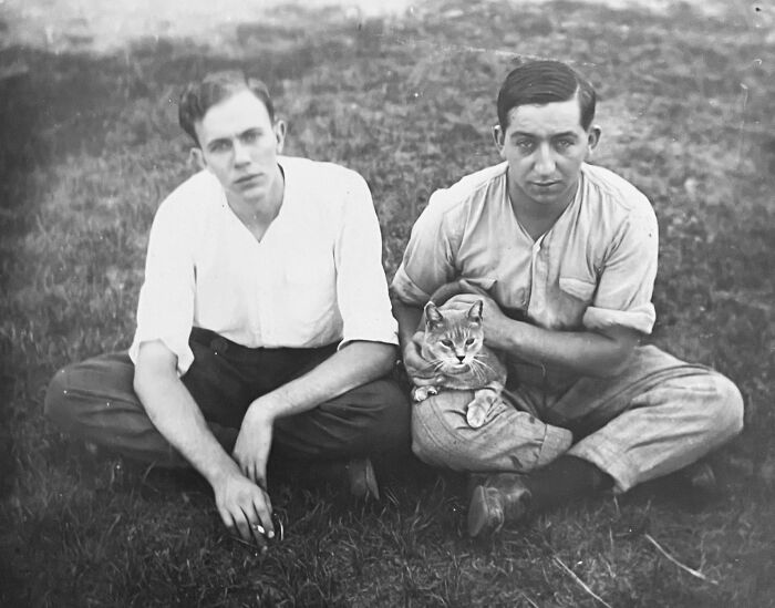 Vintage Cat Pics That Prove Cats Have Always Owned Us