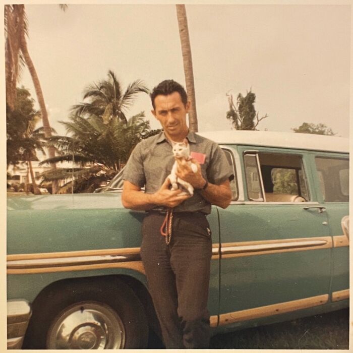 Vintage Cat Pics That Prove Cats Have Always Owned Us