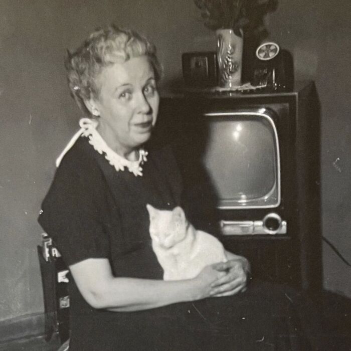 Vintage Cat Pics That Prove Cats Have Always Owned Us
