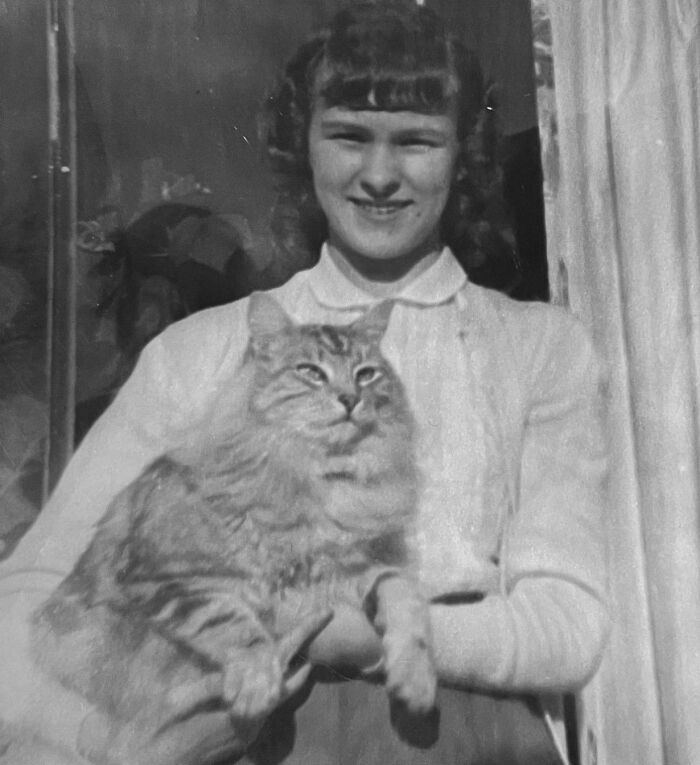 Vintage Cat Pics That Prove Cats Have Always Owned Us