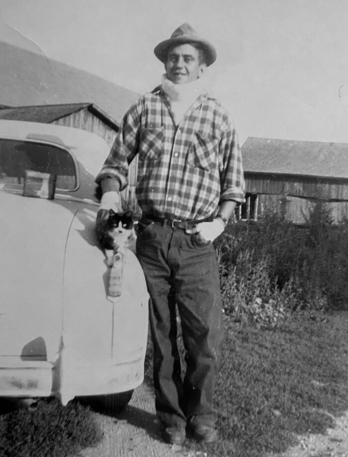 Vintage Cat Pics That Prove Cats Have Always Owned Us