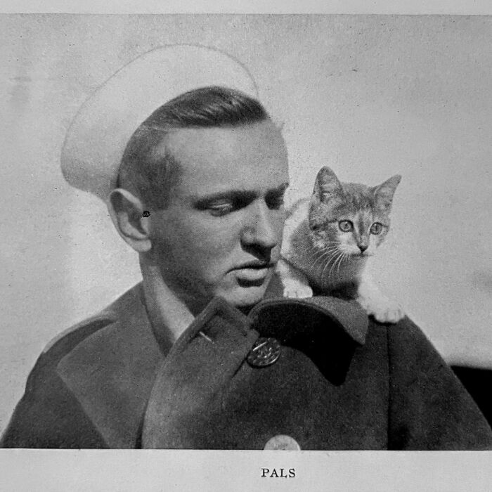 Vintage Cat Pics That Prove Cats Have Always Owned Us