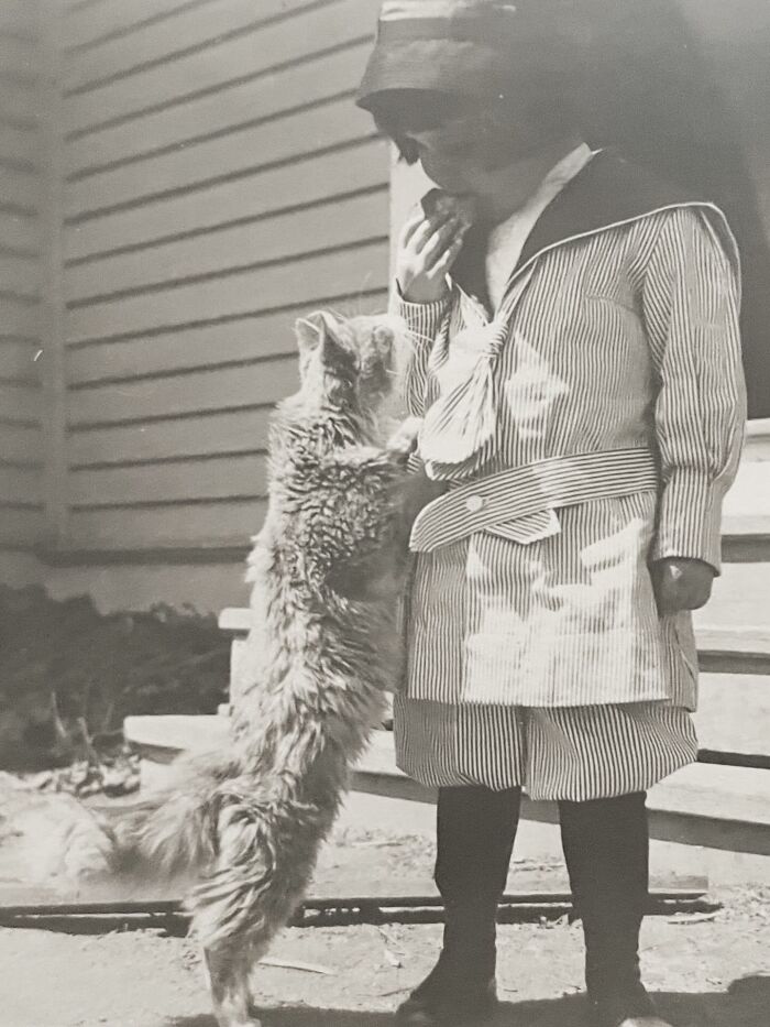 Vintage Cat Pics That Prove Cats Have Always Owned Us