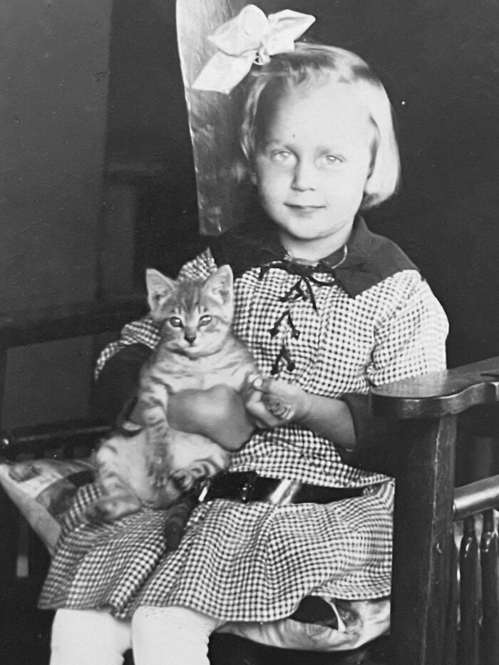 Vintage Cat Pics That Prove Cats Have Always Owned Us