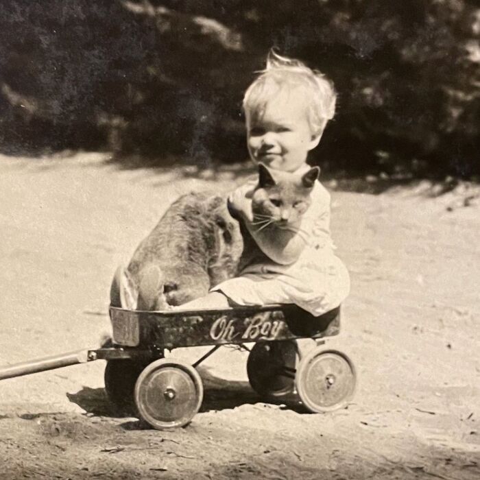 Vintage Cat Pics That Prove Cats Have Always Owned Us