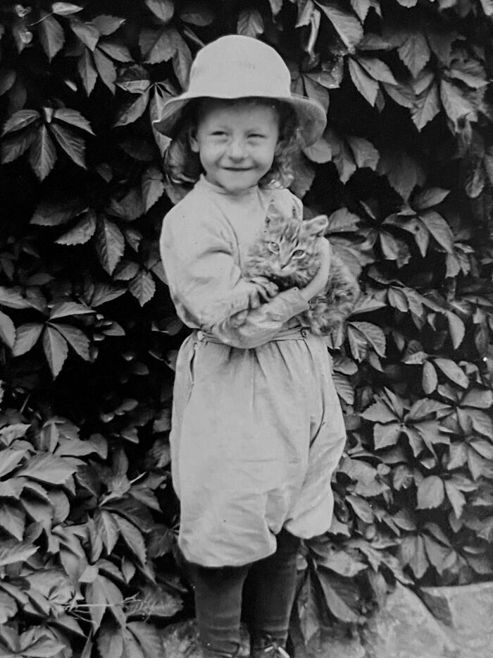Vintage Cat Pics That Prove Cats Have Always Owned Us