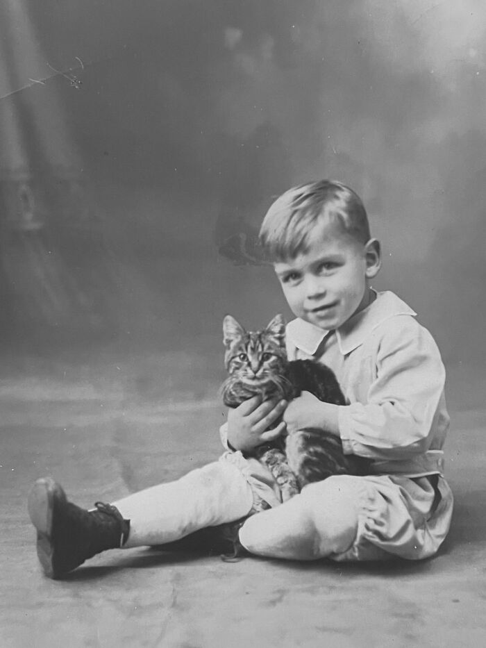 Vintage Cat Pics That Prove Cats Have Always Owned Us