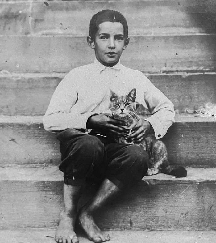 Vintage Cat Pics That Prove Cats Have Always Owned Us