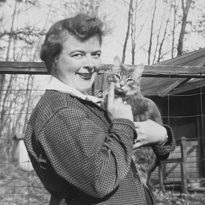 Vintage Cat Pics That Prove Cats Have Always Owned Us