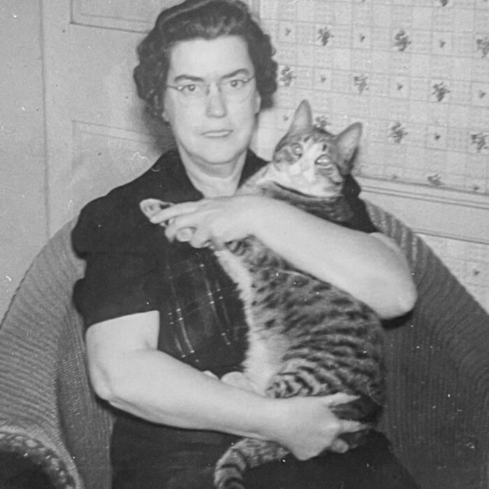 Vintage Cat Pics That Prove Cats Have Always Owned Us