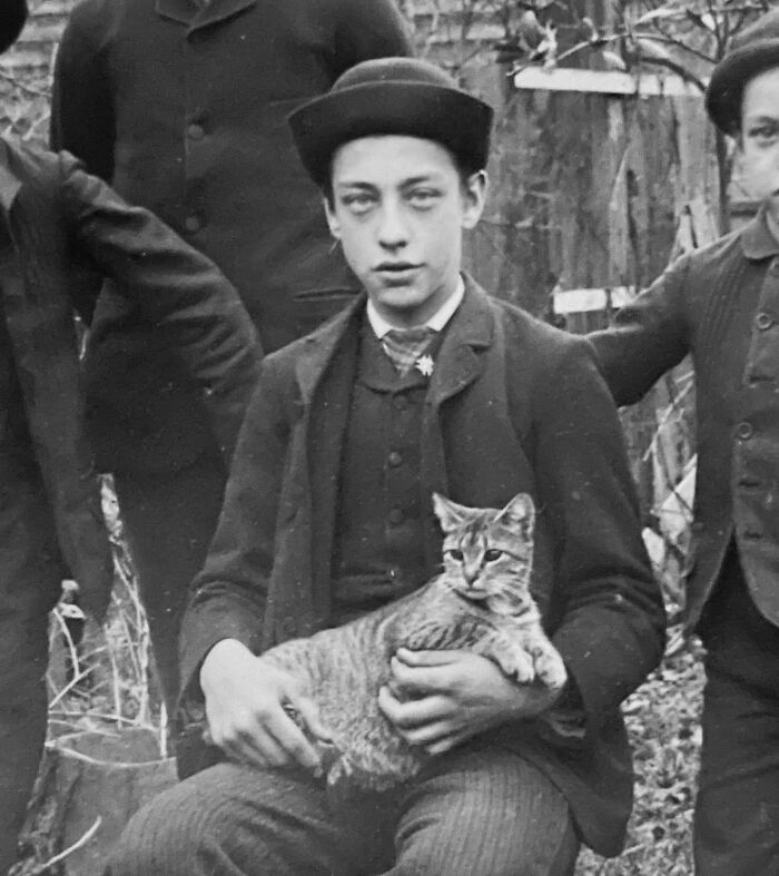 Vintage Cat Pics That Prove Cats Have Always Owned Us