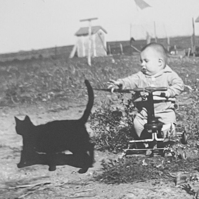 Vintage Cat Pics That Prove Cats Have Always Owned Us