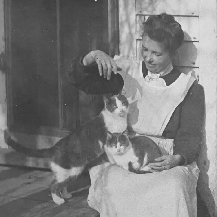 Vintage Cat Pics That Prove Cats Have Always Owned Us