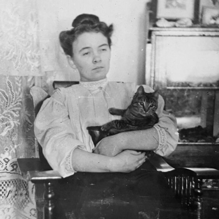 Vintage Cat Pics That Prove Cats Have Always Owned Us