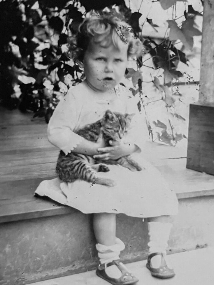 Vintage Cat Pics That Prove Cats Have Always Owned Us