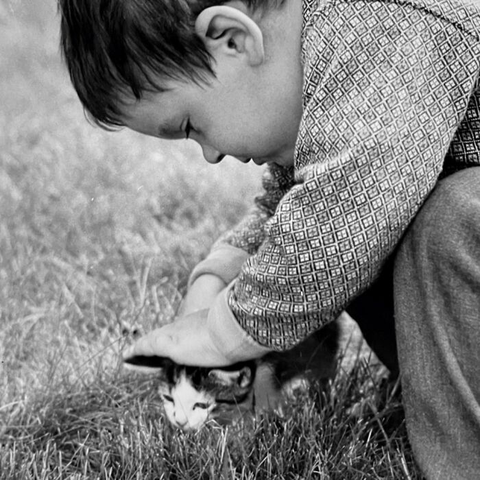 Vintage Cat Pics That Prove Cats Have Always Owned Us