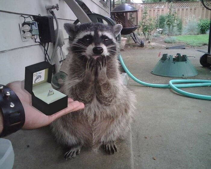 31 Animal Pics That Are So Cute, You’ll Smile for Days
