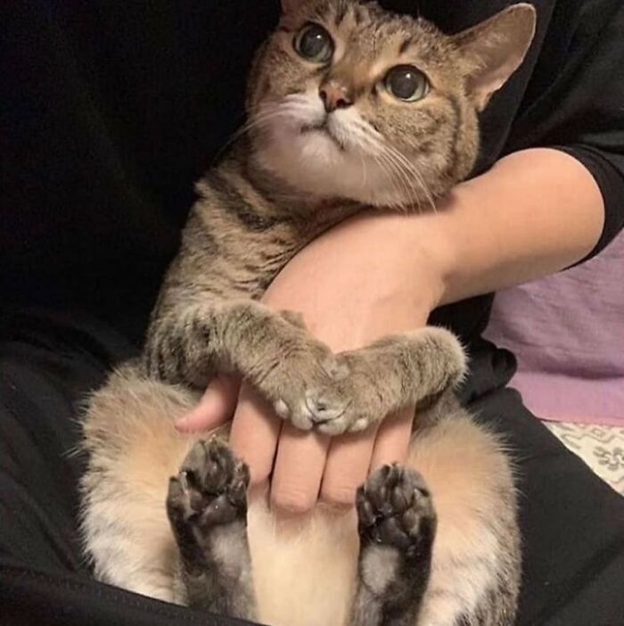 31 Animal Pics That Are So Cute, You’ll Smile for Days