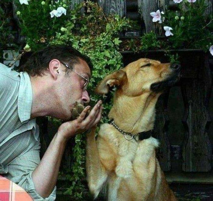 31 Animal Pics That Are So Cute, You’ll Smile for Days