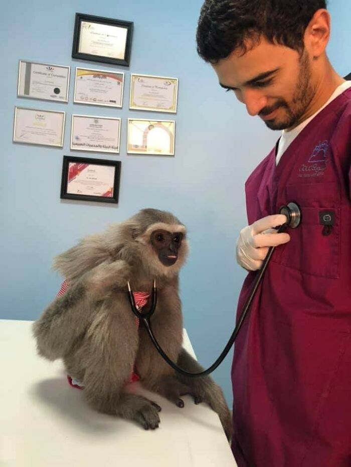 31 Animal Pics That Are So Cute, You’ll Smile for Days