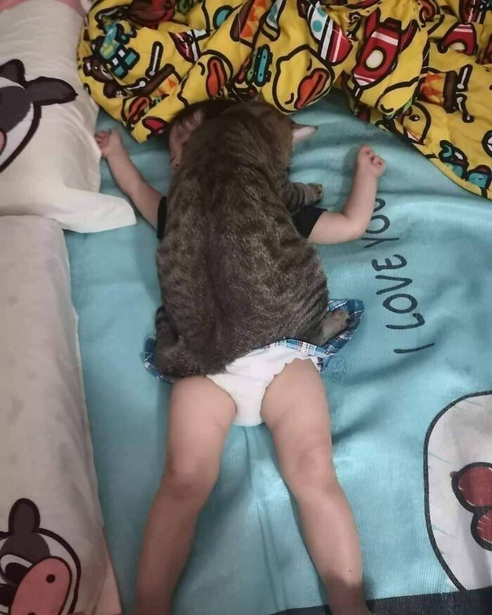 31 Animal Pics That Are So Cute, You’ll Smile for Days