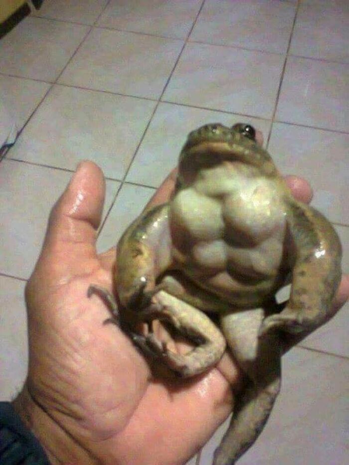 31 Animal Pics That Are So Cute, You’ll Smile for Days