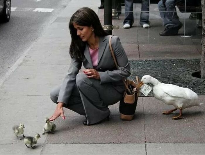 31 Animal Pics That Are So Cute, You’ll Smile for Days