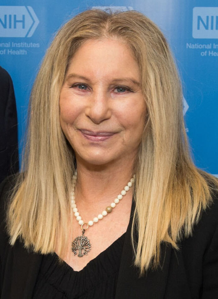 Barbra Streisand: The Voice and Visionary, 84