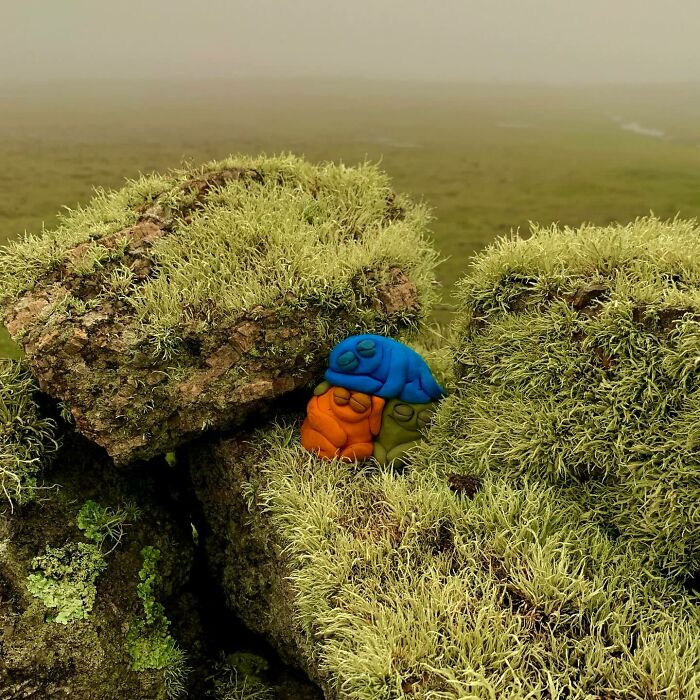 Meet These Weirdly Wonderful Sculptures That Look Like They Have Their Own Crazy Stories