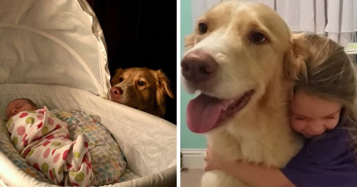Wait Till You See These Pets And Their Humans Growing Up Together!
