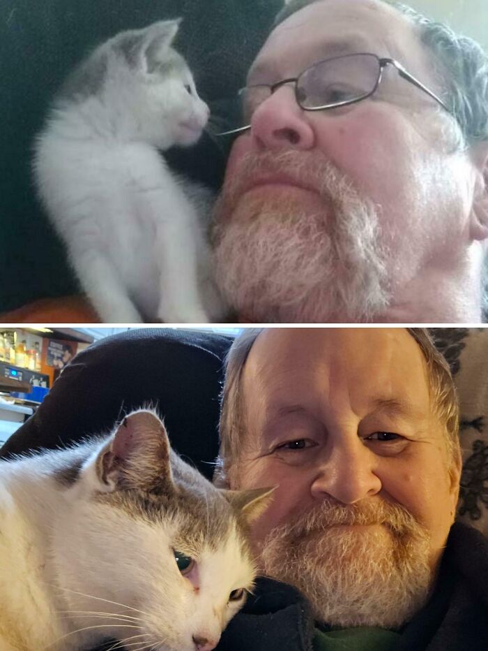 Got My First Kitty 8 Years Ago – Here We Are!