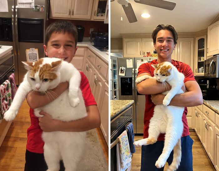 Same Spot, Same Cat, 10 Years Apart