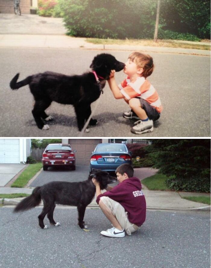 Wait Till You See These Pets And Their Humans Growing Up Together!