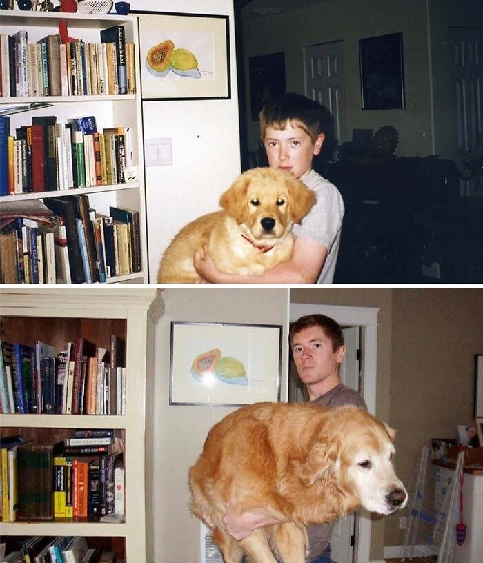 Wait Till You See These Pets And Their Humans Growing Up Together!