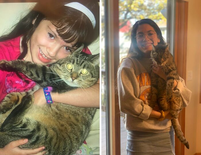 Wait Till You See These Pets And Their Humans Growing Up Together!