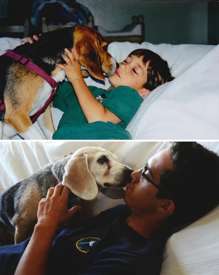 Wait Till You See These Pets And Their Humans Growing Up Together!