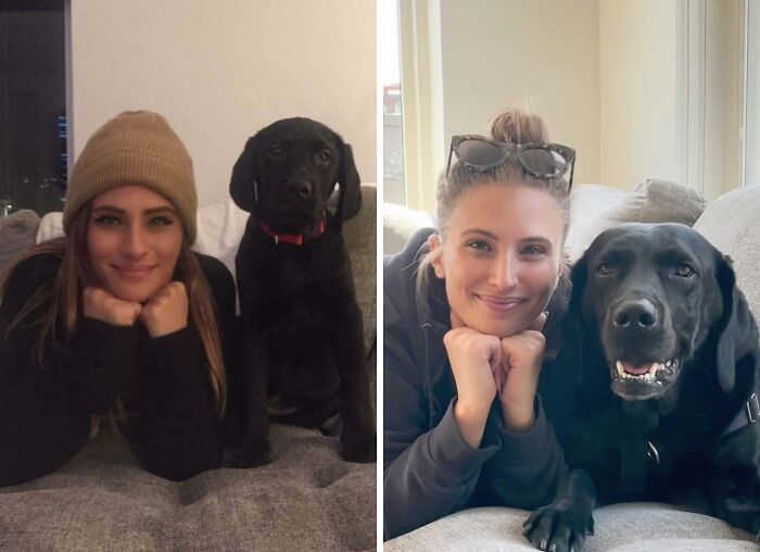 Wait Till You See These Pets And Their Humans Growing Up Together!