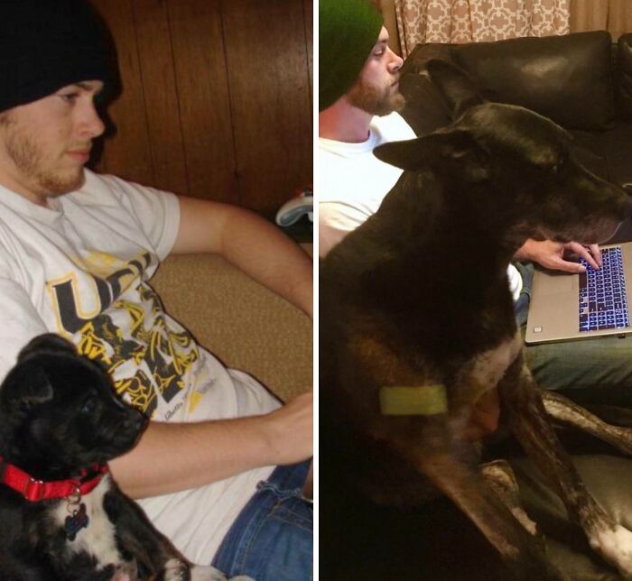 Wait Till You See These Pets And Their Humans Growing Up Together!