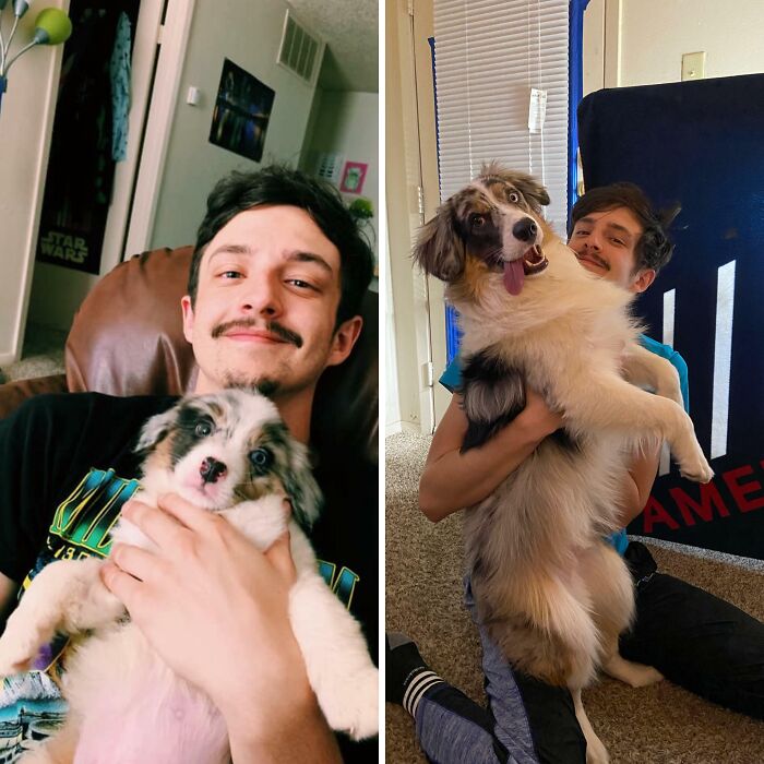 Wait Till You See These Pets And Their Humans Growing Up Together!