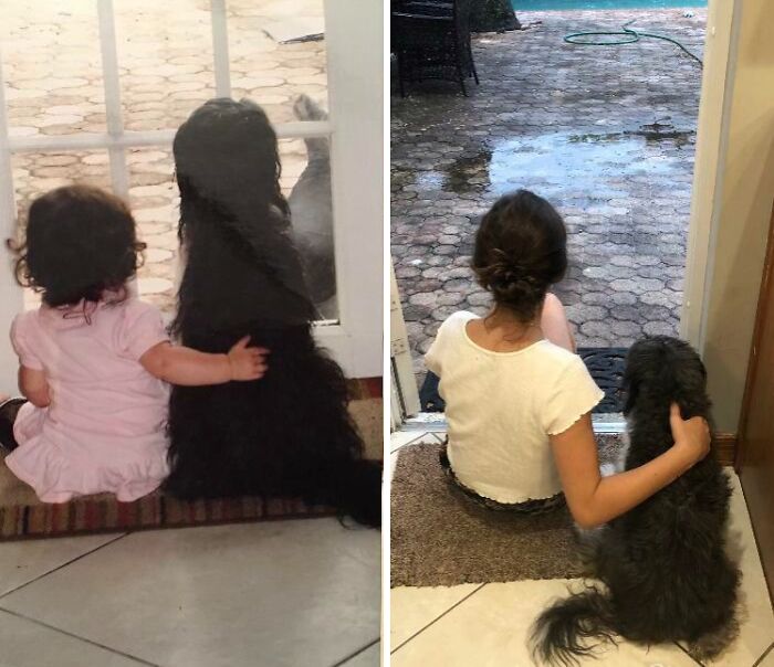Wait Till You See These Pets And Their Humans Growing Up Together!
